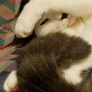 Meet your Posher, Cathryn